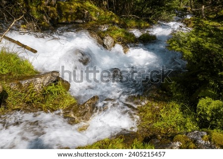 Le Lhécou River in the green countryside in the mountain , Europe, France, Occitanie, Hautes-Pyrenees, in summer on a sunny day.