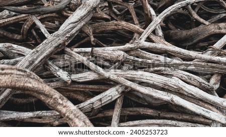a bunch of wood for outdoor garden decoration