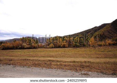 A fragment of a gravel road near an autumn meadow at the foot of a high hill overgrown with coniferous forest. Altai, Siberia, Russia.