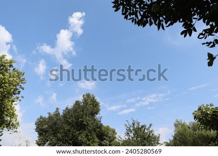This picture presents a beautiful natural scene of sky and trees