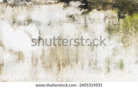 Green moss and rain stains on cement wall Royalty-Free Stock Photo #2405314931