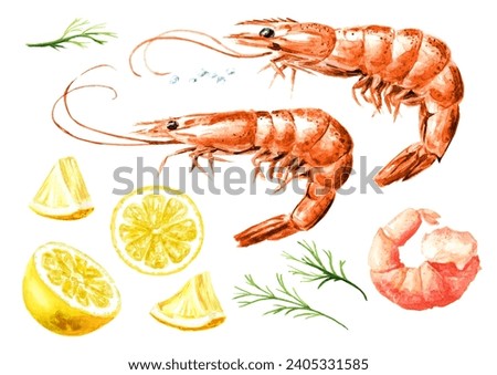 Boiled shrimps served with lemon and dill set, seafood. Hand drawn watercolor illustration, isolated on white background