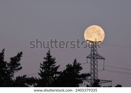 Full moon over the silhouette of pines and electricity pylons
