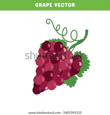 Grape vector set.  Red grape clip art. Organic fruit. Farming. Harvest festival. Flat vector isolated on white background.