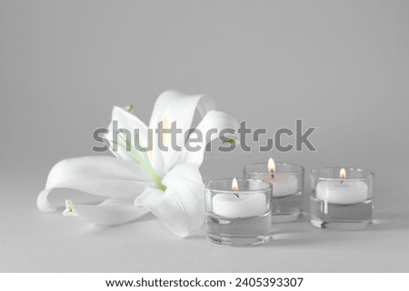 Beautiful lily flower with burning candles on grey background Royalty-Free Stock Photo #2405393307