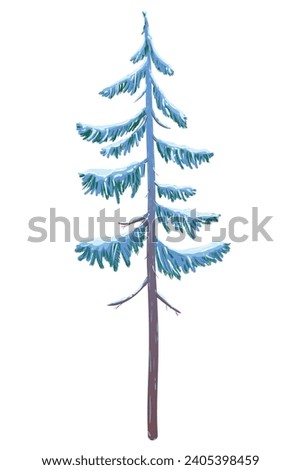 Vector illustration of a spruce tree in the snow on a white background. Green fluffy pine covered with snow. Winter snow-covered tree for Christmas scene, New Year card. Winter design element.