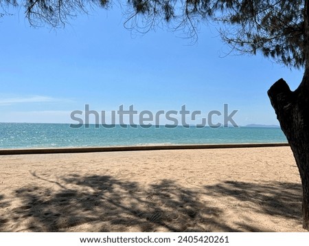 Sea water, beach and trees