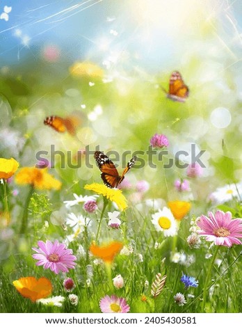 Summer natural meadow full of wildflowers and grasses in the summer sun on a beautiful sunny day. Royalty-Free Stock Photo #2405430581