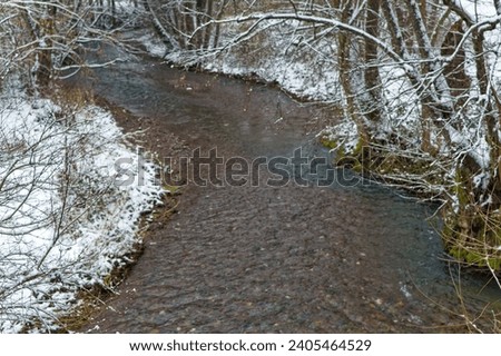 Natural forest landscape covered with snow during cold winter day.