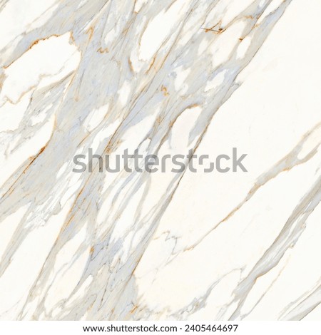 White natural white marble stone slab vitrified tile design reference marbled floor texture background light grey kitchen hall bathroom tiles concept interior exterior wallpaper