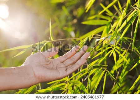 Close-up, hands touching pure nature using natural healing methods. Royalty-Free Stock Photo #2405481977
