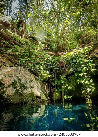 Clear blue spring waters surrounded by boardwalk and deck in lush forest, Paradise Springs, Florida