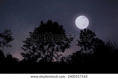 Tree silhouette and night sky with moon and stars