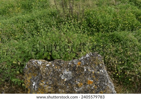 Set of standing stones, upclose + distant pictures