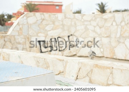 Bird in the sandy beach in winter break resort holiday Spain Canary Island beautiful view landscape background wallpaper stock image website travel blog social media content light and airy brand photo