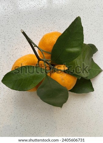 Tangerines with leaves on a white background, Isolated.