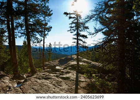 A seemingly endless mountain scene framed by tall, skinny pines with a lookout point between.  The bright mid-day sun beams above. Royalty-Free Stock Photo #2405623699