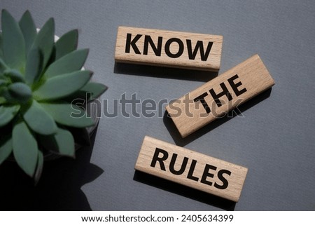 Know the rules symbol. Wooden blocks with words Know the rules. Businessman hand. Beautiful grey background with succulent plant. Business and Know the rules concept. Copy space.