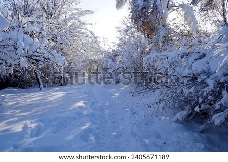 a sunny wintery landscape of the scenic Bavarian countryside in Schwabmuenchen with trees covered with snow and rime ice around Christmas time (Germany)	                               