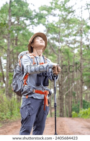 Asian man hiking through a forest, asian man enjoying sunny day and fresh air. Hiker walking on forest trail with camping backpacks. Hiker man from behind hiking in autumn fall nature woods. Royalty-Free Stock Photo #2405684423