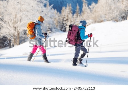 winter activity. Two women walking in snowshoes in the snow, winter hiking, two people in the mountains in winter, hiking equipment Royalty-Free Stock Photo #2405752113