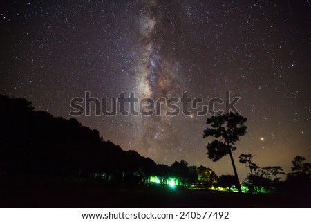 Milky Way over forest at Phu Hin Rong Kla National Park,Phitsanulok Thailand Silhouette of Tree and Milky Way Phu Hin Rong Kla National Park,Phitsanulok Thailand