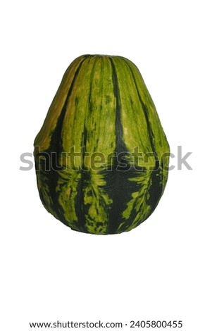 on a white background a decorative small pear-shaped pumpkin of green color. decoration . side view. autumn . vegetable