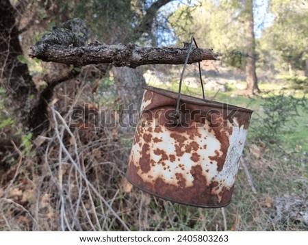 Rusty bucket on a branch . Royalty-Free Stock Photo #2405803263
