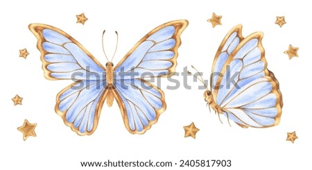 Butterfly Set Watercolor illustration. Hand drawn clip art on white isolated background. Drawing of insect with blue and gold wings. Painting of flying moth for baby birthday decorations