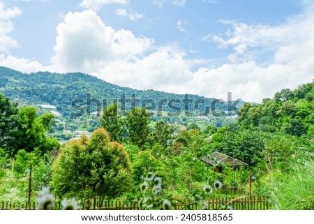 Picture of Mountain landscape with sky,and trees with beautiful scene of greenery on mountains.