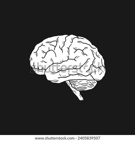 human brain vector illustration design