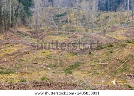 Logging road on a clear cutting area Royalty-Free Stock Photo #2405853831