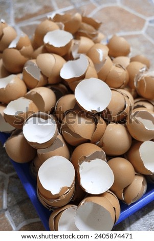 Egg shell in a bucket. Collecting eggshells for fertilizer. Close up of crushed egg shell.