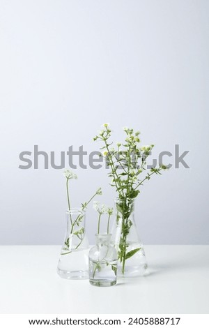 Composition for Making cosmetic concept, making cosmetic with flowers