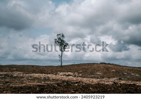 
Deforestation Clear Land and Sky at Riau Sumatra Indonesia Royalty-Free Stock Photo #2405923219