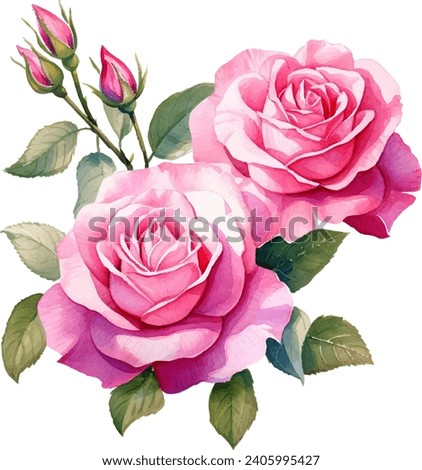 watercolor pink rose flower bouquet for valentines day