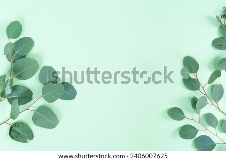 Easter or mothers day background, green eucaliptus leaves over mint green background with copy space Royalty-Free Stock Photo #2406007625