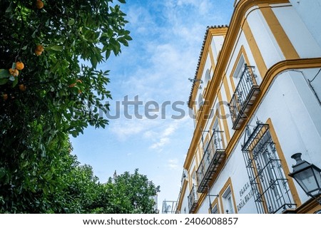 Santa Cruz neighborhood also known as the Juderia or Jewish quarter of Seville.