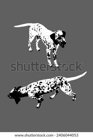 Two dynamic poses of a Dalmatian dog vector illustration. Perfectly suited for vibrant and fashionable t-shirt and hoodie prints. A stylish vector artwork showcasing dalmatian charm.