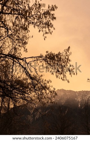 Schaan, Liechtenstein, January 17, 2023 Spooky atmospheric condition and a colorful sky in the evening Royalty-Free Stock Photo #2406075167