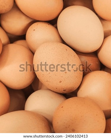Get high-quality with this diverse collection of assorted organic egg photos showcasing the natural beauty of organic eggs with bright colors and sharp details.