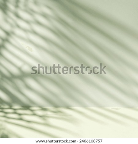 Phoenx palm tree leaves long shadow lines on a neutral background. Mockup