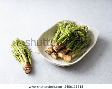 edible shoots of a fatsia Royalty-Free Stock Photo #2406131815