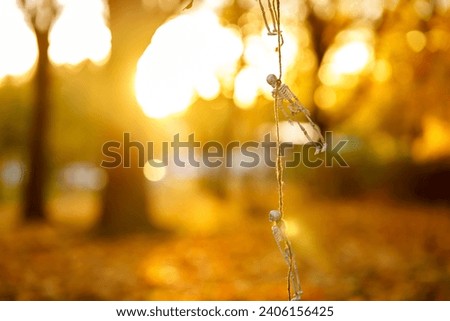 A garland of skeletons hung on trees in an autumn park at sunset, the concept of Halloween, copy space