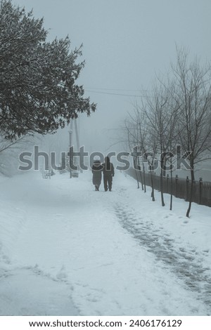 backs of elderly couple a man and woman walking along an alley in park in winter with snow in the fog Royalty-Free Stock Photo #2406176129