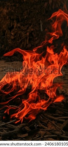 A beautiful picture by shutter stock of Firee red ness in cold