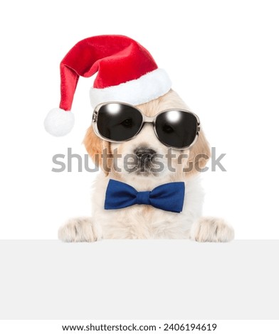 Cute Golden retriever puppy wearing sunglasses, red santa hat and tie bow looks above  empty white banner. isolated on white background