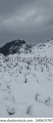 Picture of nature with snow , snow covered mountains  giving a heart attracting look .