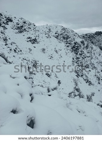 Picture of nature with snow , snow covered mountains  giving a heart attracting look .