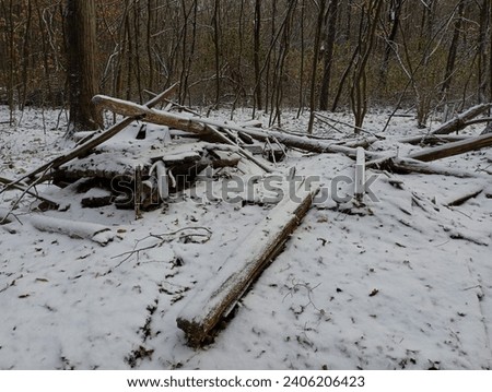 The remains of a forest hunting lodge in the middle of the forest in winter. The beams and boards are the remains of the forester's house in the hornbeam forest. Royalty-Free Stock Photo #2406206423